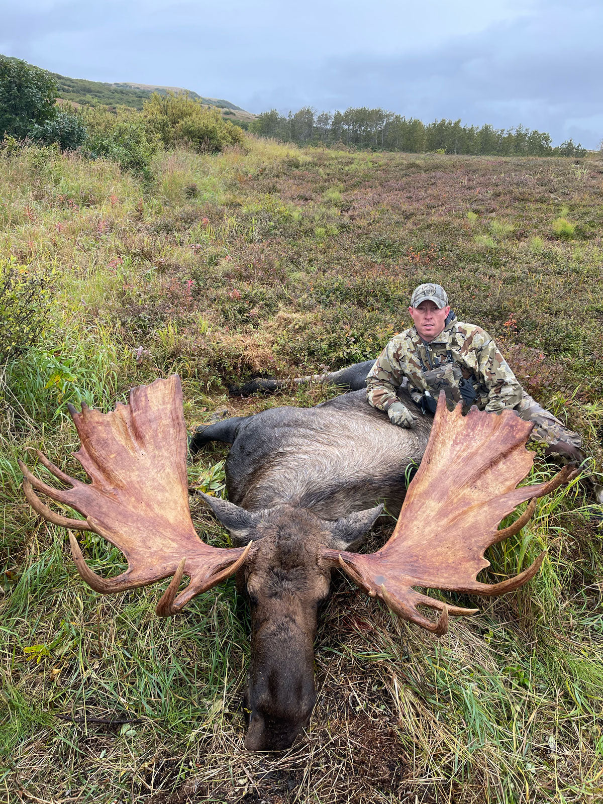 2026 Alaska Moose Hunt