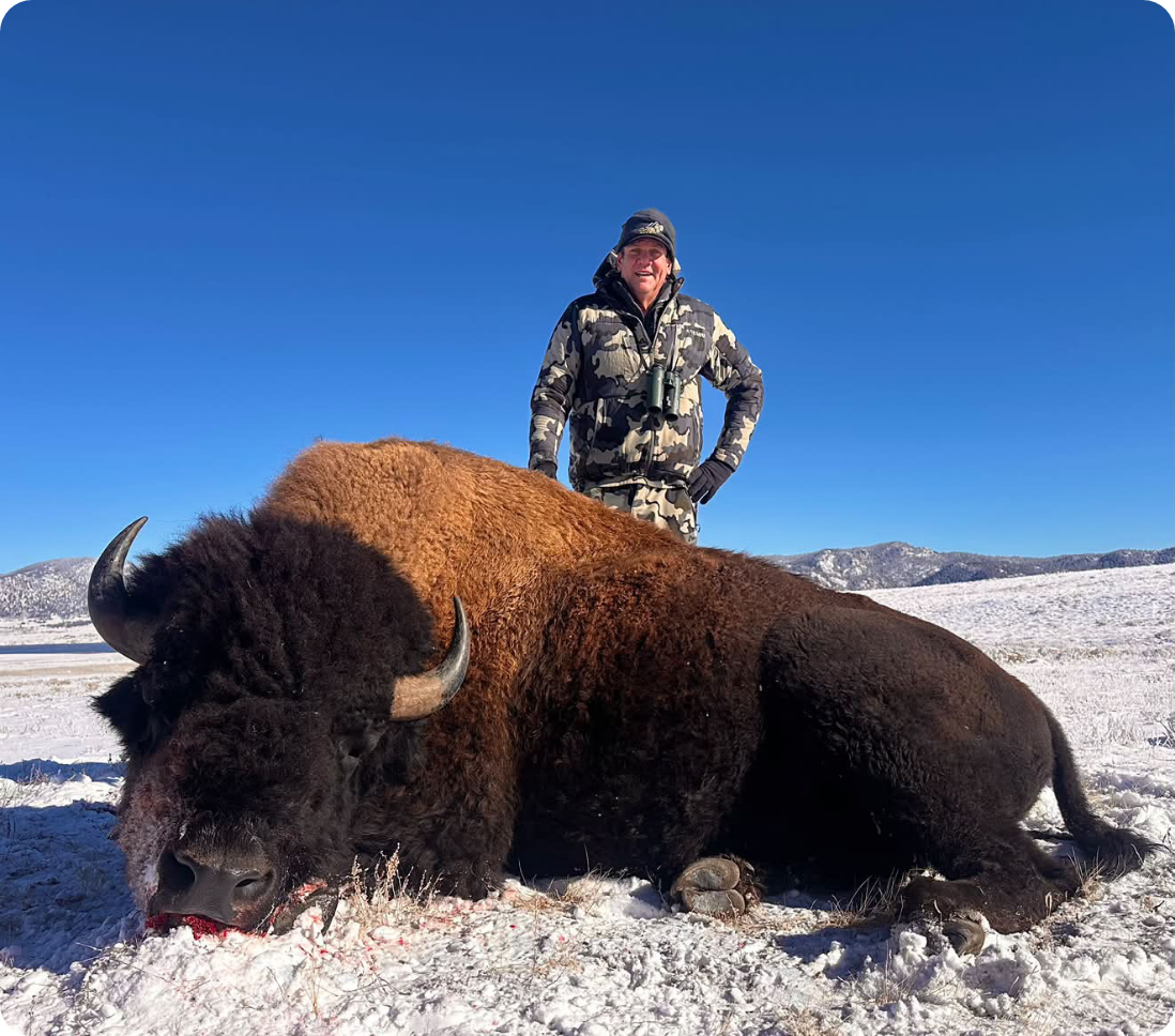 Win a 2027 Colorado Bison Hunt