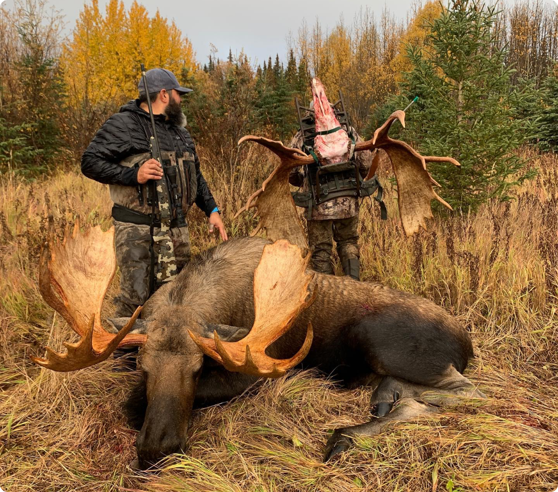 Win a Fall 2026 Alaska Moose & Bear Hunt