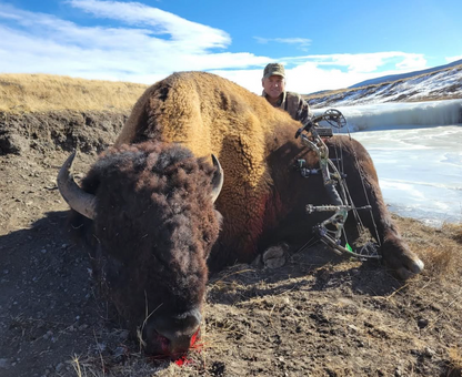 Win a 2026 Colorado Bison Hunt