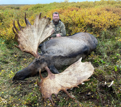 WIN: Fall 2027 Alaska Moose & Bear Hunt