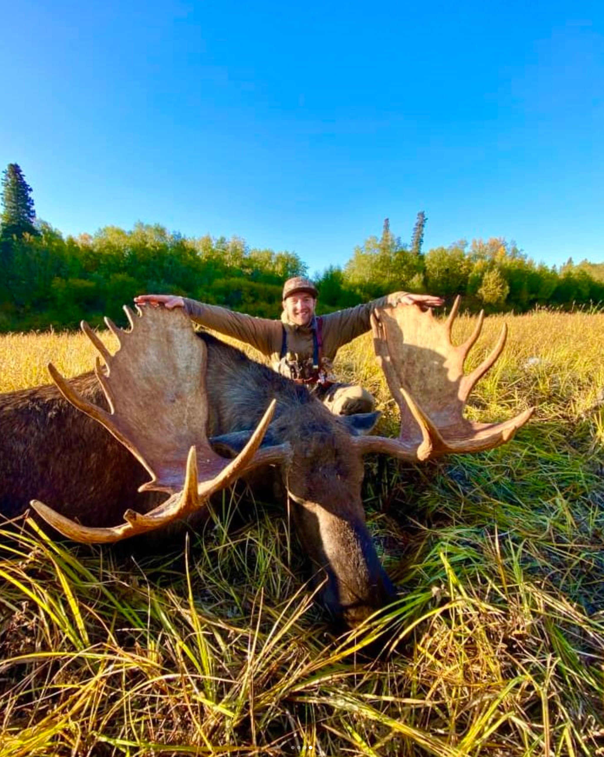 Win a 2025 Alaska Moose & Brown Bear Hunt